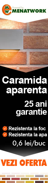 Caramida aparenta