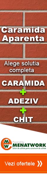 Caramida aparenta