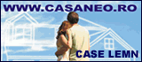 Case lemn