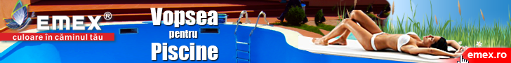 Vopsea pentru piscina