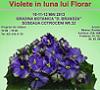 Expozitie Nationala de Violete Africane si alte Gesneriaceae Mai 2013