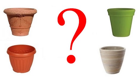 Ghivece ceramica sau ghivece plastic: care sunt mai bune pentru plantele tale?