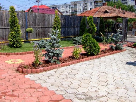 Amenajare gradina cu dale de beton, plante de gradina si arbusti