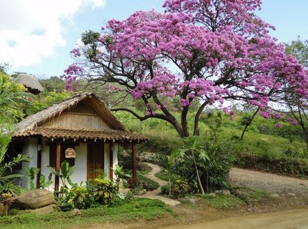 Casa ecologica din saci cu pamant