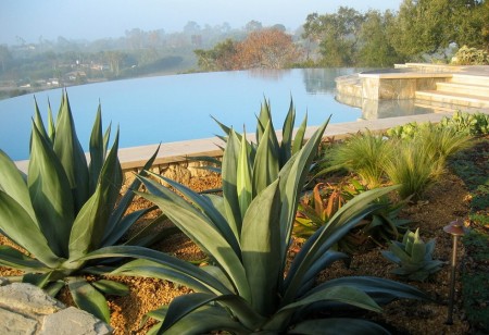 Piscina intr-un decor mediteranean