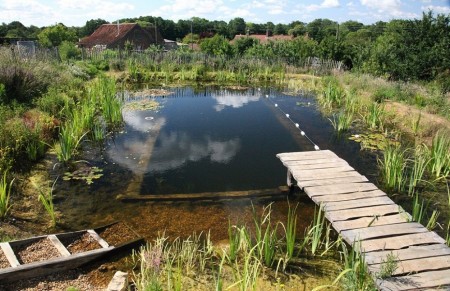 Piscina naturala