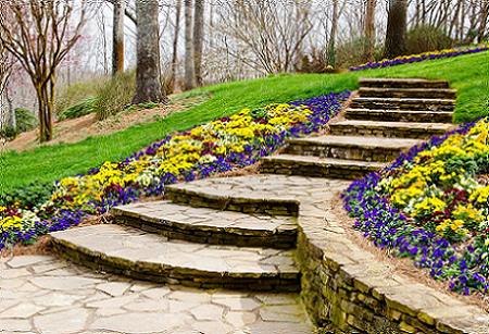 Gradina cu alei si trepte din piatra, iarba verde si flori multicolore