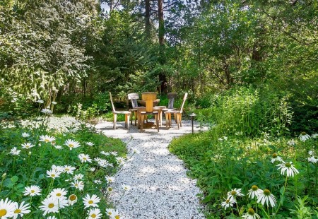 Picnic in mijlocul naturii