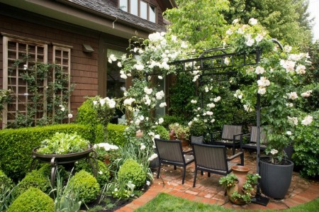 Pergola metalica si plante agatatoare cu flori