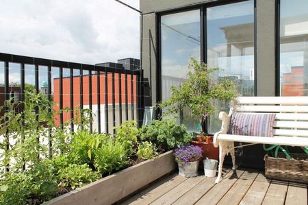 Gradina legume in balcon