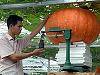 dailymail.co.uk: Legume uriase din seminte trimise in spatiu