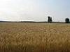 Teren agricol