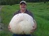 Un canadian a gasit o ciuperca comestibila de 26 de kilograme