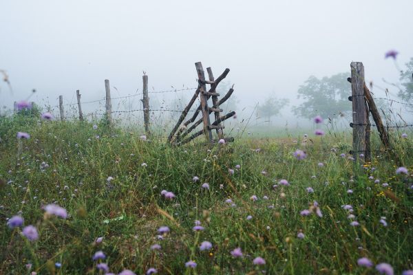 Dreptul de trecere in cazul in care proprietarul unui teren, cu sau fara constructie, este lipsit de acces la calea publica, potrivit art. 617 din Codul Civil