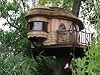 Casa din copac