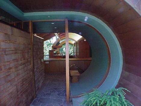 Arhitectura organica - casa printre copaci