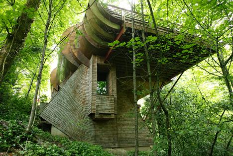 Arhitectura organica - casa printre copaci