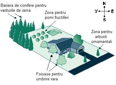 Planificare amplasare copaci