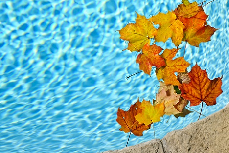 Instalare piscina toamna