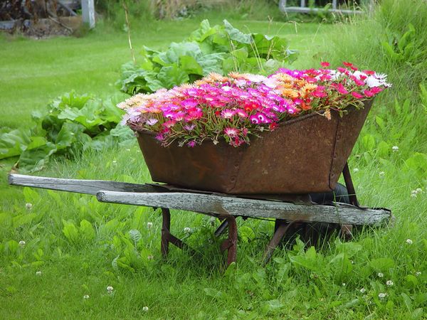 Jardiniera de flori in roaba veche