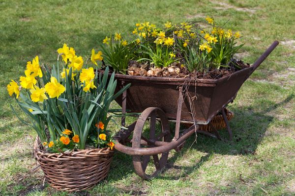 Jardiniera de flori in roaba veche