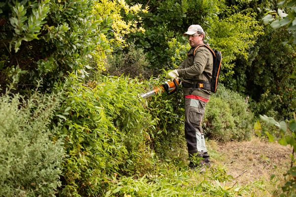 Foarfece gard viu cu acumulator STIHL