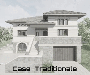 Proiect casa traditionala