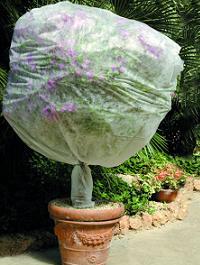 Protectia plantelor contra inghetului