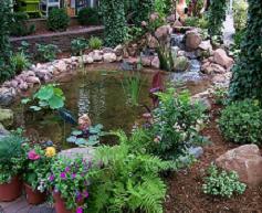 Imagini casa si gradina - gradina