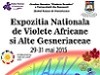 Expozitie Nationala de Violete Africane si alte Gesneriaceae Mai 2015
