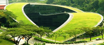 acoperis-verde-scoala-singapore.jpg