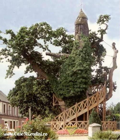Copac biserica