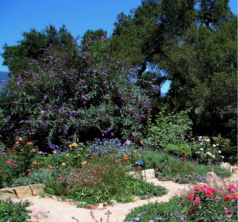 O frumoasa gradina rustica