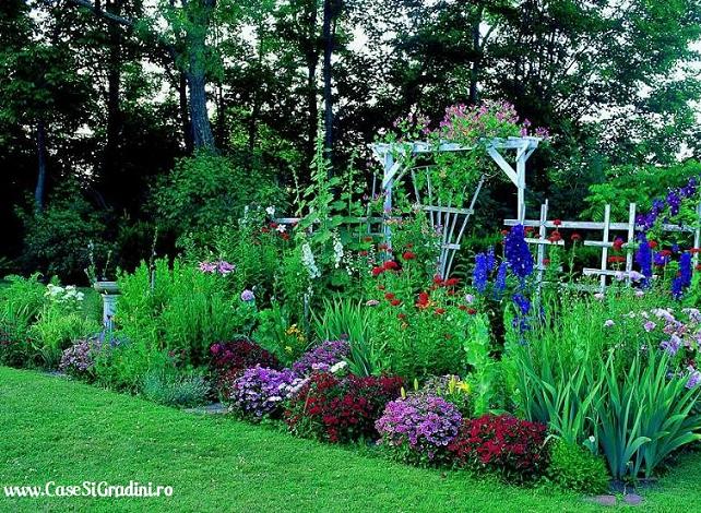 Gradina cu flori multicolore