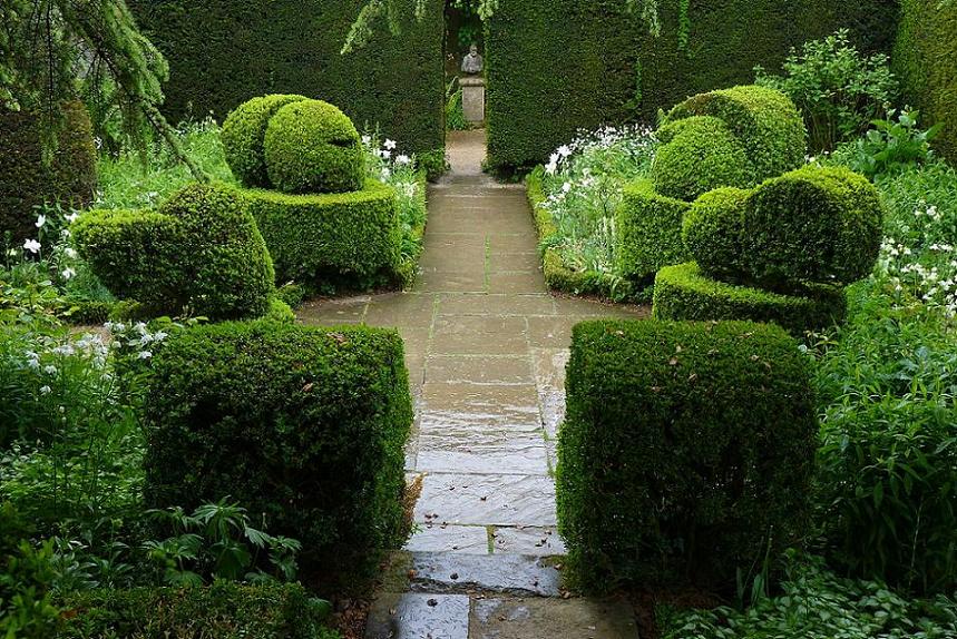 Arta topiara in White Garden, Hidcote Manor Garden