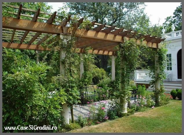 Imagine pergola