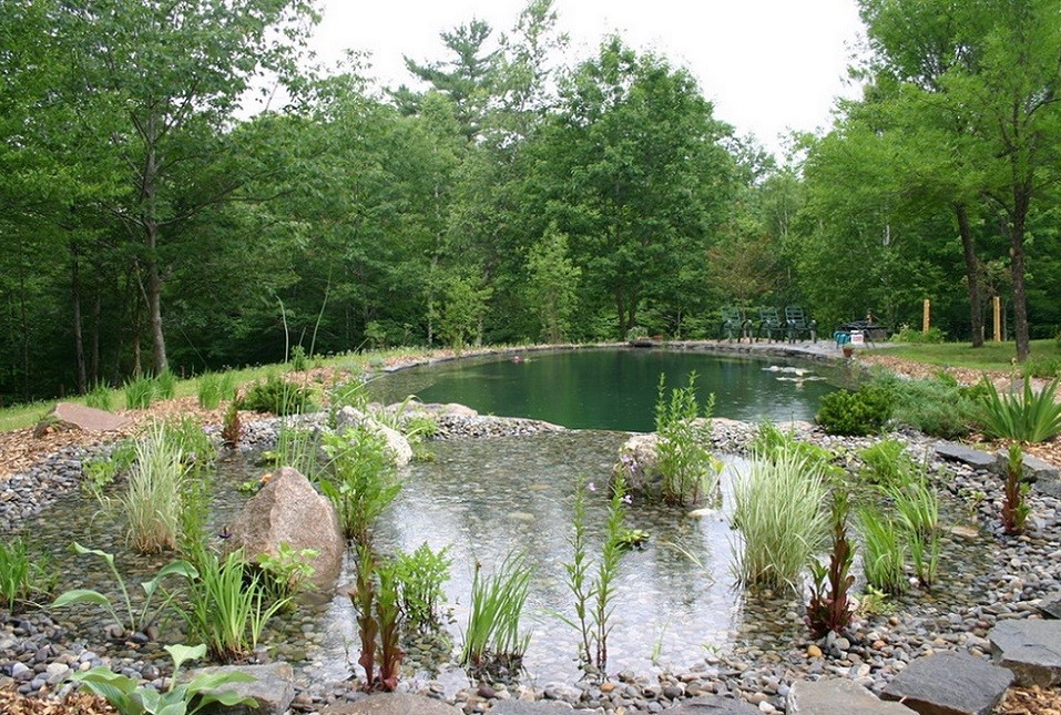 Piscina naturala