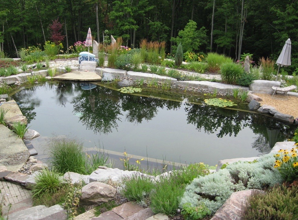 Piscina naturala din padure