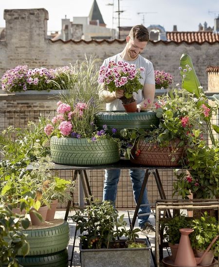 Poze Gradina de flori - gradina-acoperis-jardiniere-anvelope-uzate.jpg