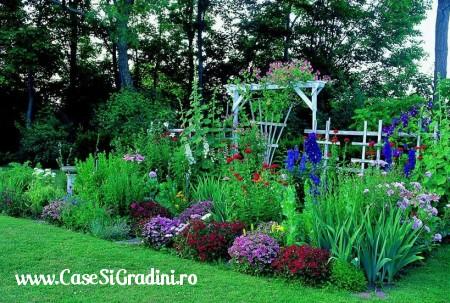 Poze Gradina de flori - gradina-flori-multicolore.jpg