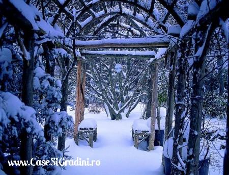 Poze Gradina de flori - gradina-iarna-3.jpg