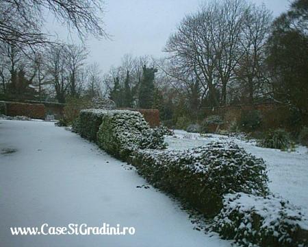 Poze Gradina de flori - gradina-iarna.jpg