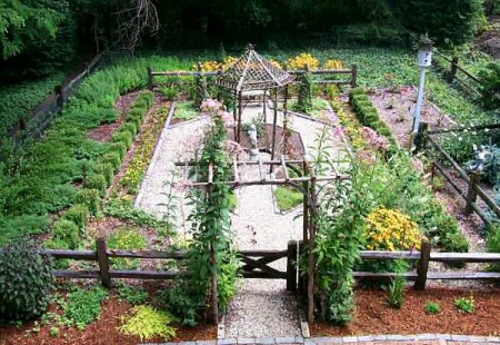 Poze gradina-legume-15.jpg - gradina-legume-15.jpg