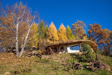 Poze Gradina de flori - gradina-rustica-casa-ecologica-acoperis-verde.jpg