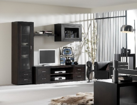 Imagine amenajare living modern