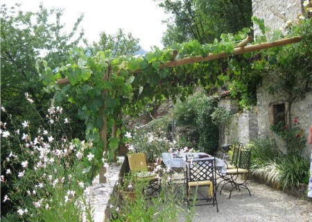 Poze Pergola - pergola-vita-vie.jpg