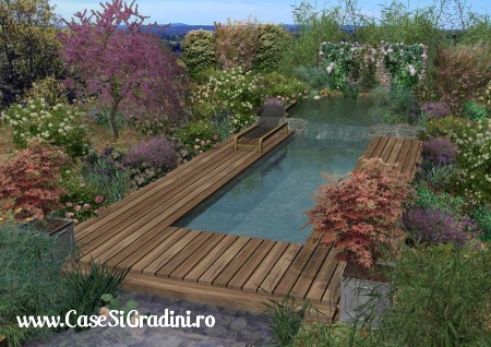 Poze Piscina - piscina-naturala.jpg