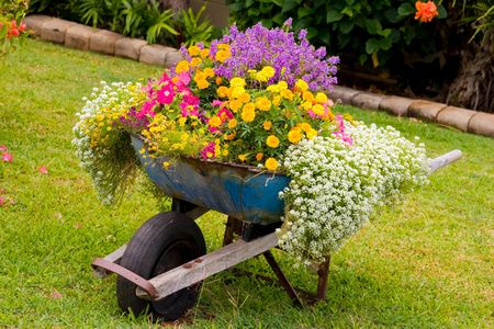 Poze Gradina de flori - roaba-ghiveci-flori-gradina.jpg