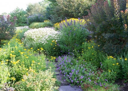 Poze Gradina de flori - vara-gradina-rustica.jpg