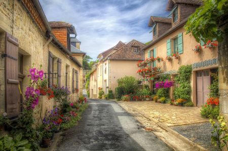 Flori multicolore si case vechi
